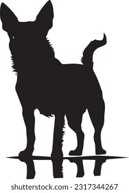 Chihuahua dog silhuette animal white background
