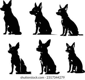 Chihuahua dog silhuette animal white background