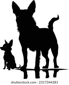 Chihuahua dog silhuette animal white background