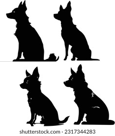 Chihuahua dog silhuette animal white background