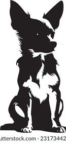 Chihuahua dog silhuette animal white background