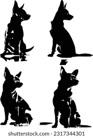 Chihuahua dog silhuette animal white background