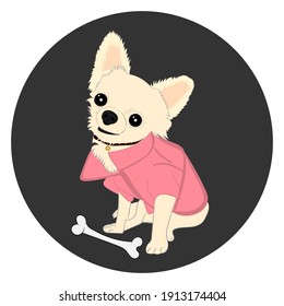 chihuahua dog Sitting image graphics design vector illustration  