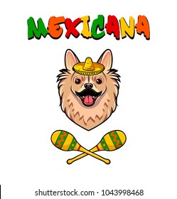 Chihuahua dog with sombrero and maracas. Mexicana text. Vector illustration isolated on white background.