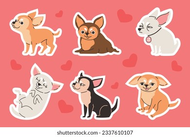 Chihuahua dog sticker designs set, flat cartoon vector illustration isolated on background. Chihuahua characters bundle for stickers and clothing prints.