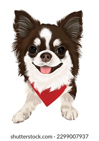 Chihuahua dog vector art smiling puppy