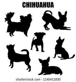 Chihuahua dog vector icons and silhouettes. Set of illustrations in different poses.