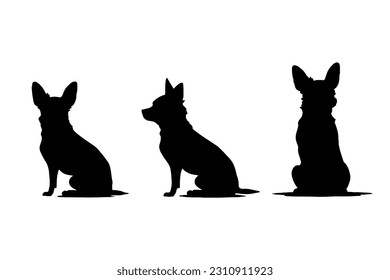 Chihuahua dog vector icons and silhouettes. Set of illustrations in different poses.