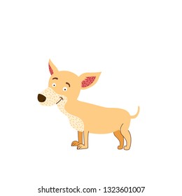 chihuahua dog vector illustration