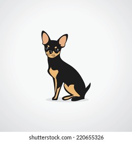 Chihuahua Dog - Vector Illustration 