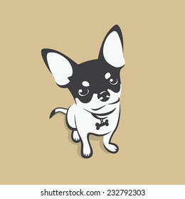 Chihuahua dog - vector illustration