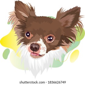 Chihuahua dog vector portrait illustration.Сolor gradient