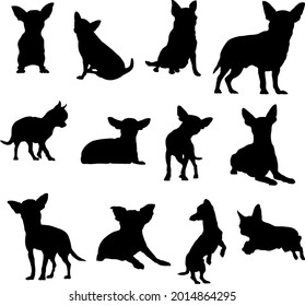 Chihuahua dog vector silhouettes Illustration Eps10