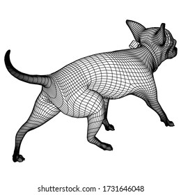 Chihuahua dog walking polygonal lines illustration. Abstract vector dog on the white background