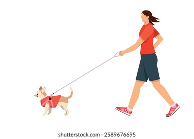 Chihuahua, dog walking, simple illustration of a Japanese woman walking Flat design.