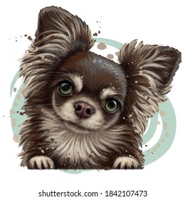 Chihuahua dog. Wall sticker. Color, vector drawing portrait of a Chihuahua dog in watercolor style on a white background. Separate layer. Digital vector drawing