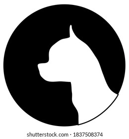 Chihuahua dog white head in black round vector silhouette