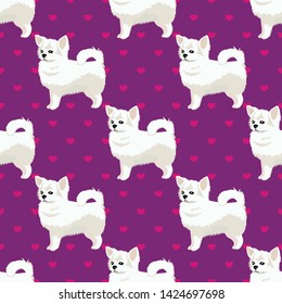 Chihuahua dog white seamless pattern