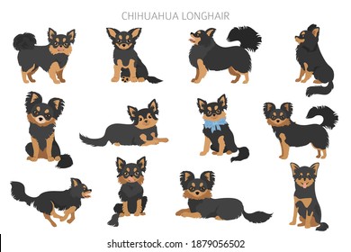 Chihuahua dogs  in different poses. Adult and puppy set.  Vector illustration