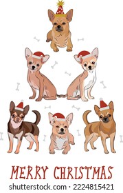 Chihuahua dogs wearing winter hats. Cute funny dogs.Abstract Christmas tree. Vector illustration. Merry Christmas greeting card with the cute funny dogs, holiday, purebred with happy eyes, sitting.