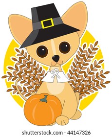 Chihuahua  dressed for Thanksgiving