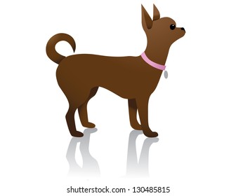 Chihuahua. EPS 8 vector, grouped for easy editing. No open shapes or paths.