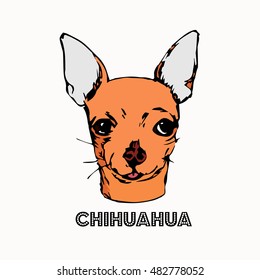 Chihuahua face isolated on white background. Purebred lap dog hand drawn sketch. 