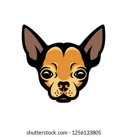 Chihuahua face - isolated vector illustration