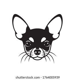Chihuahua face - isolated vector illustration
