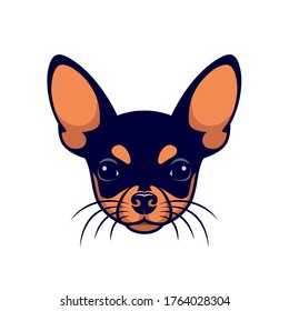 Chihuahua Face - Isolated Vector Illustration