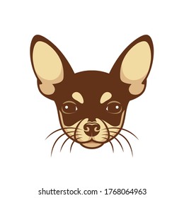 Chihuahua face - isolated vector illustration