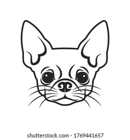 Chihuahua face - isolated vector illustration