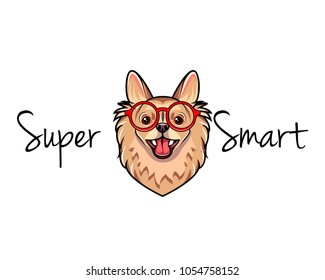 Chihuahua geek. Dog in smart red glasses. Vector illustration.