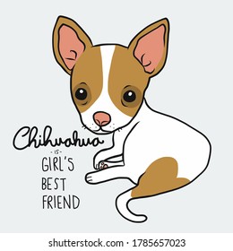 Chihuahua is girl's best friend, Chihuahua dog cartoon vector illustration