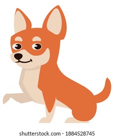 Chihuahua giving paw. Cute pet in cartoon style.