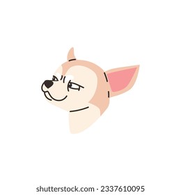 Chihuahua head or muzzle flat cartoon vector illustration isolated on white background. Chihuahua breed small decorative dog and lovely pet animal muzzle.