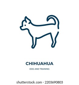 Chihuahua icon. Linear vector illustration from dog and training collection. Outline chihuahua icon vector. Thin line symbol for use on web and mobile apps, logo, print media.