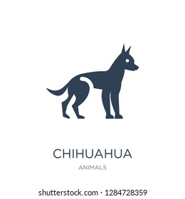 chihuahua icon vector on white background, chihuahua trendy filled icons from Animals collection, chihuahua vector illustration