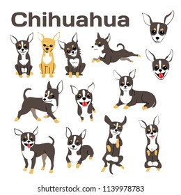 chihuahua illustration,dog poses,dog breed