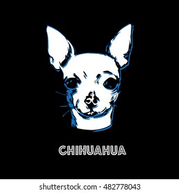 Chihuahua isolated on black background. Purebred dog vector illustration. Hand drawn dog sketch. 