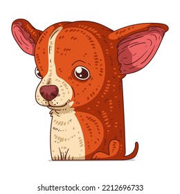 A Chihuahua, isolated vector illustration. Cute cartoon picture for children. A small amiable dog. Drawn animal sticker art. Simple drawing of a nice chihuahua on white background. A pet. A puppy