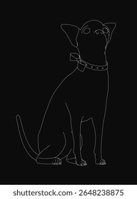 Chihuahua line drawing in black and white, wearing a stylish collar, isolated on a dark background. The clean, minimalist illustration highlights the dog's expressive features and small size.