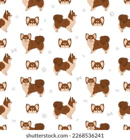 Chihuahua long haired seamless pattern. Vector illustration