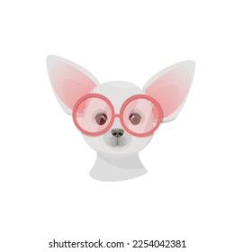 Chihuahua with pink round glasses