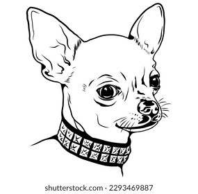 Chihuahua portrait, dog head, pet, black and white vector illustration isolated. Clipart, stock image