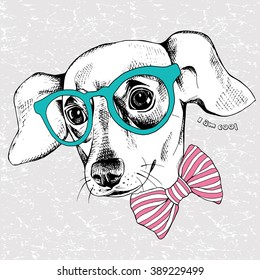 Chihuahua portrait in a tie and with glasses. Vector illustration.