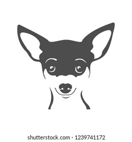 Chihuahua portrait vector image. Head dog Chihuahua on a white background. Dog logo. 