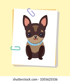 Chihuahua puppy with collar of blue color, dog of tiny breed with tongue sticking out, domestic pet vector illustration isolated