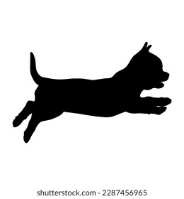  chihuahua puppy dog silhouette. Vector dog breeds