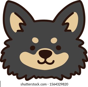 Chihuahua puppy front face outlined